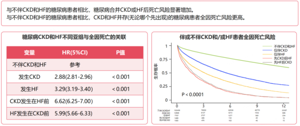 kaiyun体育官方网站全站入口影响全身血液轮回；CKD则可能导致肾功能阑珊-kaiyun(欧洲杯)app-kaiyun欧洲杯app(中国)官方网站-登录入口