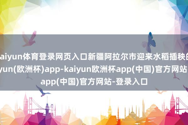 kaiyun体育登录网页入口新疆阿拉尔市迎来水稻插秧的日子-kaiyun(欧洲杯)app-kaiyun欧洲杯app(中国)官方网站-登录入口