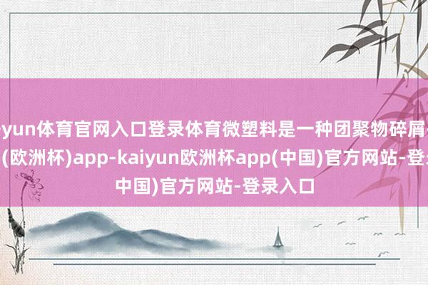 开yun体育官网入口登录体育微塑料是一种团聚物碎屑-kaiyun(欧洲杯)app-kaiyun欧洲杯app(中国)官方网站-登录入口