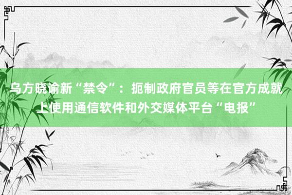 乌方晓谕新“禁令”：扼制政府官员等在官方成就上使用通信软件和外交媒体平台“电报”