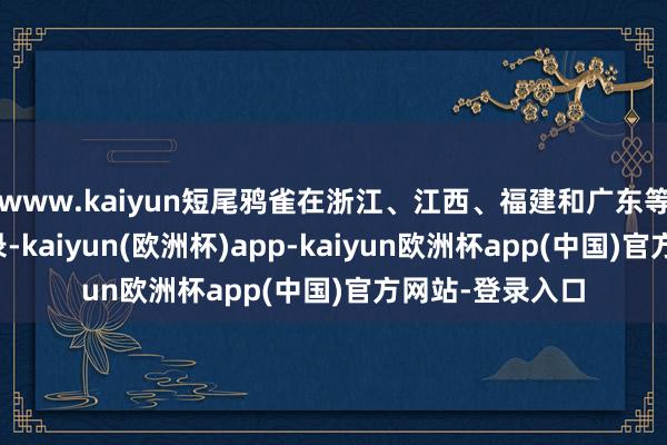 www.kaiyun短尾鸦雀在浙江、江西、福建和广东等地均有分辨记录-kaiyun(欧洲杯)app-kaiyun欧洲杯app(中国)官方网站-登录入口