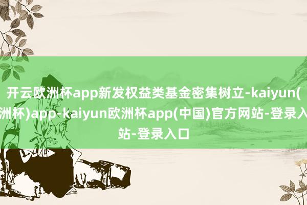 开云欧洲杯app新发权益类基金密集树立-kaiyun(欧洲杯)app-kaiyun欧洲杯app(中国)官方网站-登录入口