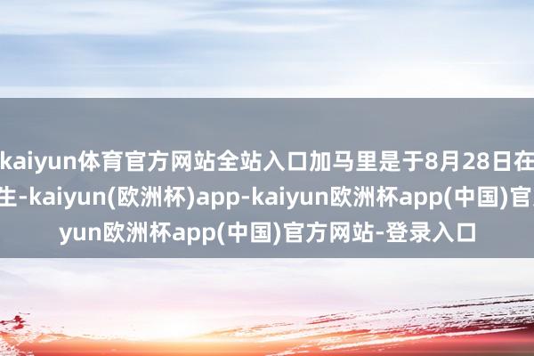 kaiyun体育官方网站全站入口加马里是于8月28日在以色列空袭中丧生-kaiyun(欧洲杯)app-kaiyun欧洲杯app(中国)官方网站-登录入口