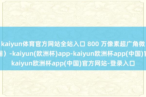 kaiyun体育官方网站全站入口 800 万像素超广角微距镜头(F2.2 光圈)-kaiyun(欧洲杯)app-kaiyun欧洲杯app(中国)官方网站-登录入口
